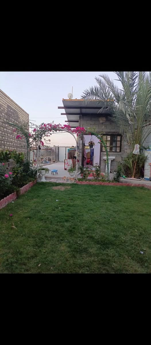 السلام عليكم للبيع قطعة ارض مساحه 300 متر الواجهه 7ونص نزال 40 ترهم عله شارعين طابو زراعي سند 25 سند بأسمي احولك مباشر من السند مع دار سكن مساحه 75متر سقف سندويج وكراج وحديقه مسيجه كامل الخدمات تبليط ومي وكهرباء تبعد عله شارع هورجب الرئيسي 50متر مكاني الدوره هورجب قرب مدرسة قطر الندى الاهليه للاستفسار الاتصال على الرقم *********** السعر 65 مليون مجال بسيط للشراي
