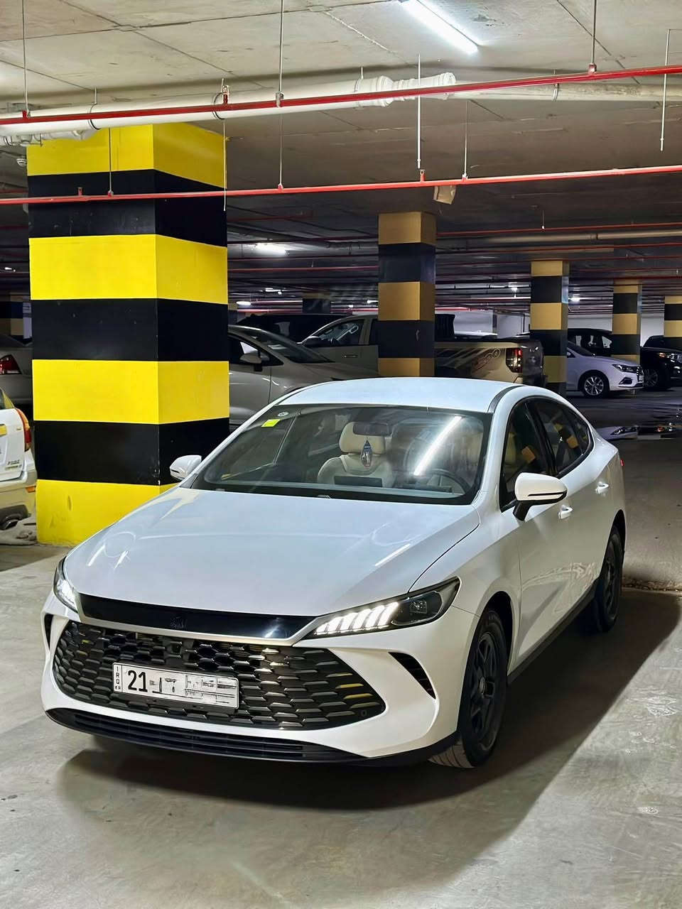 Qin Plus 2025 
ناو کرێمی 
١٠ هەزار ڕۆیشتوە بە هەردوو مۆدەکە
 بێ بۆیاخ و سارد و تەرزە
بۆیاخ تەنکە 
کامل جوانکاری بۆ کراوە و 
کامل ئەشیای خۆی لەگەڵایە 
یەک دینار مەسرەفی تیا نیە 
نرخی ١٣٧ وەرەقە و مەعامەلە
*********** السليمانية, العراق
