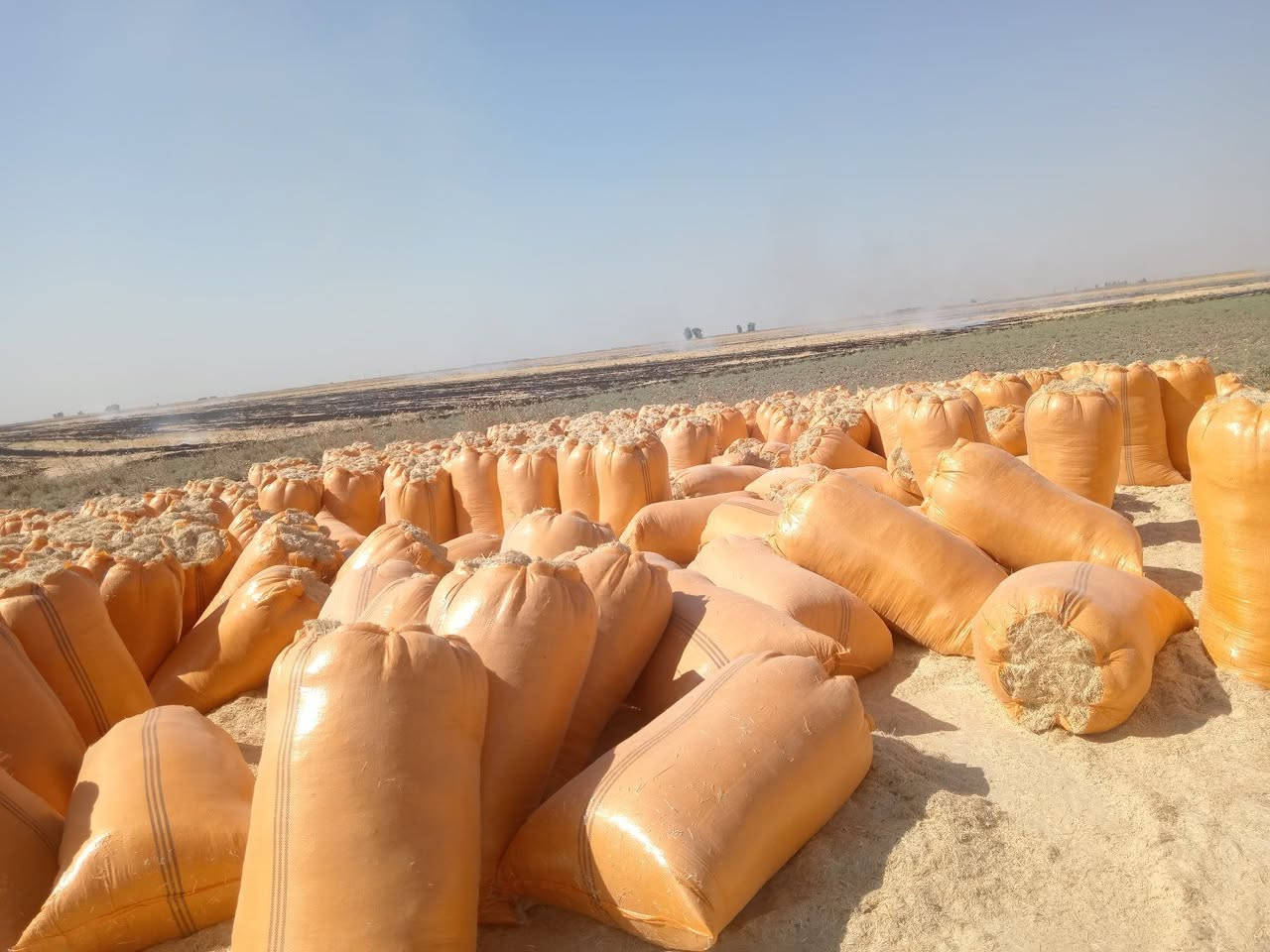 🌾 تبن الشمال للبيع 🌾

📦 حجم الكيس: 123 × 90
✨ تبن أبيض، ناعم ونظيف
🚫 خالي من التراب والشوائب

💰 سعر الزوج واصل: 7,750 دينار
📍 التوصيل إلى جميع مناطق ديالى

🔹 أقل كمية للطلب: 420 كيس

📞 للطلب والاستفسار:
***********
