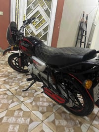 بوكسر • ٢٠٢١ • جبلي