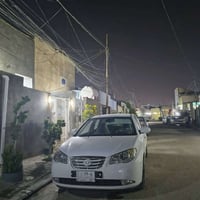 النترا • ٢٠٠٩ • صبغات