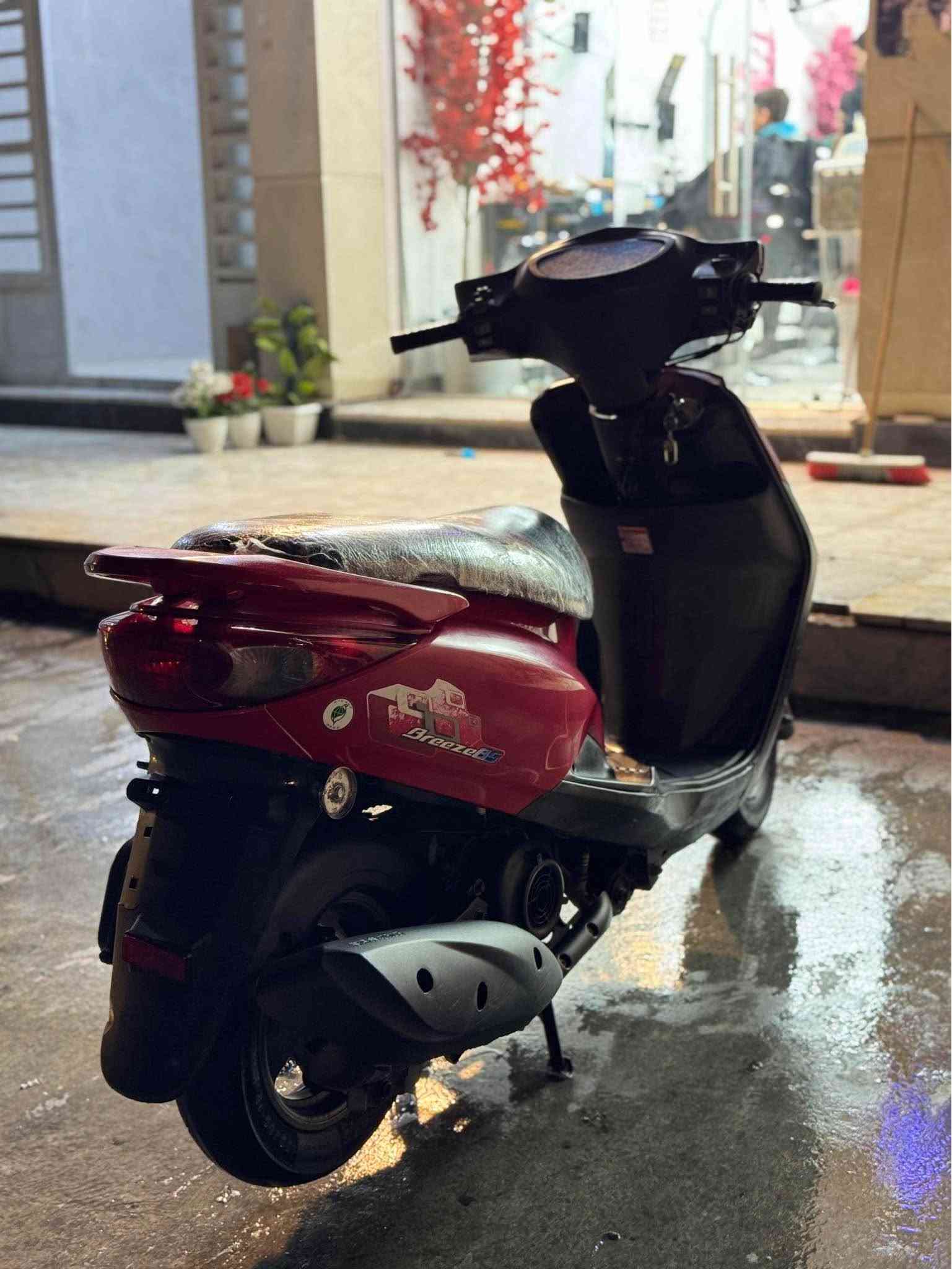 للبيع بغبغا لون احمر ♥️دراجه وكاله مال بيت صار شهر نازله رمبه وماطلع بيهة هواي السعر مليون و٥٠٠ العنوان حي اور 
*********** بغداد, العراق

