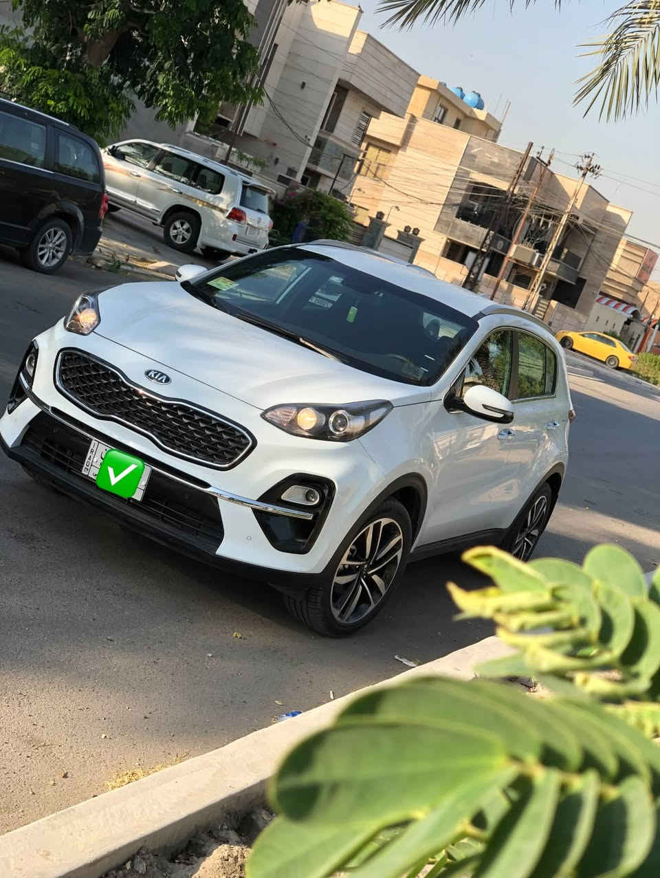 سبورتج • ٢٠٢٠ • كفالة عامة