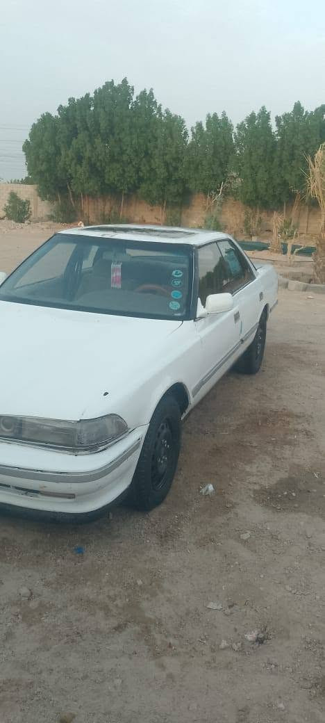 مارك گصيف • مكفول • الزبير
