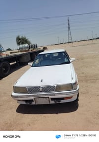 شيزر كصيف رقم ميسان راعيها موجود بسفان فقط لبگ ماكو لسعر20بيها مجال 07...