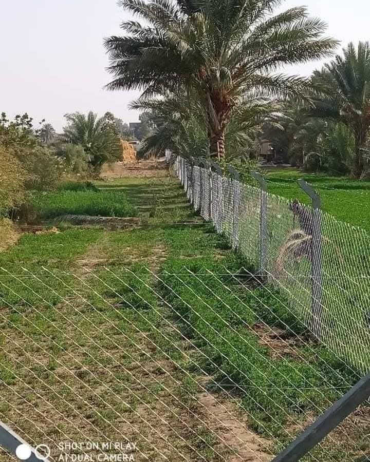 الحله • BRC • اعمال بناء