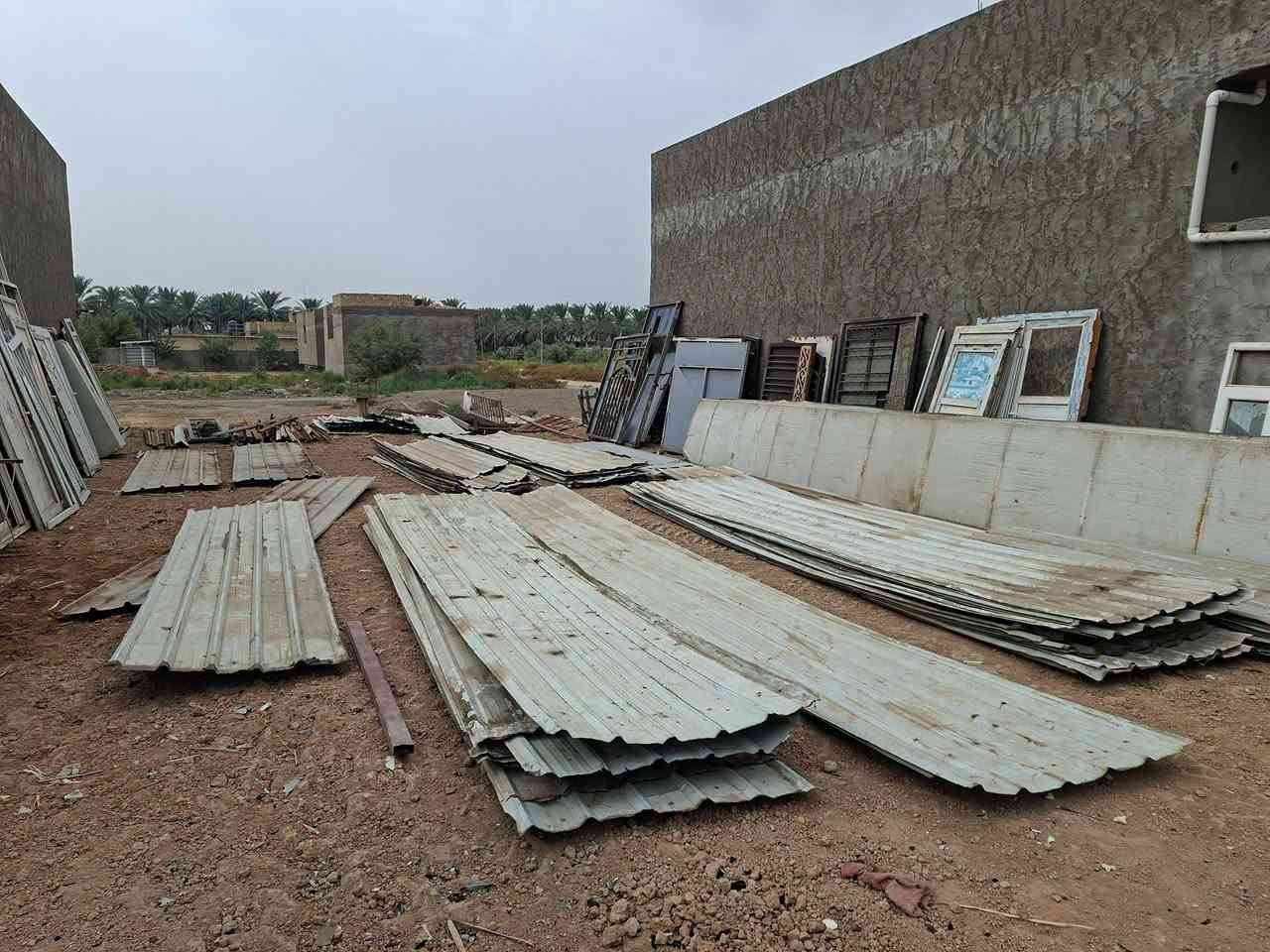 جينكو • مقاسات متنوعة • بابل المسيب