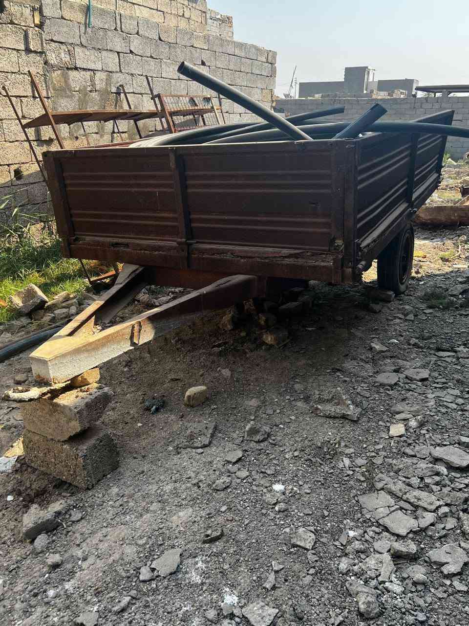 عربانة • ديالى