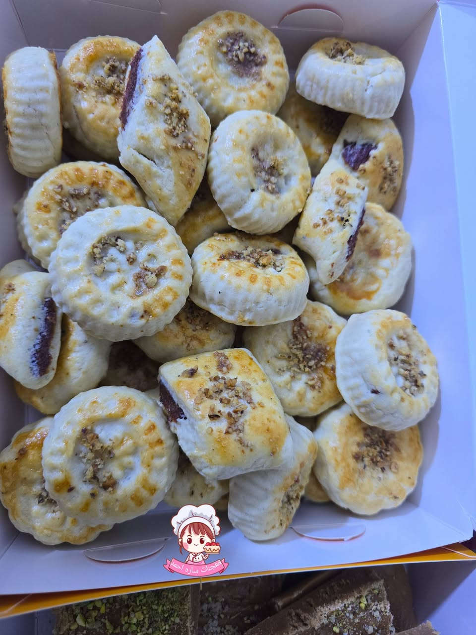 معجنات • ساره احمد
