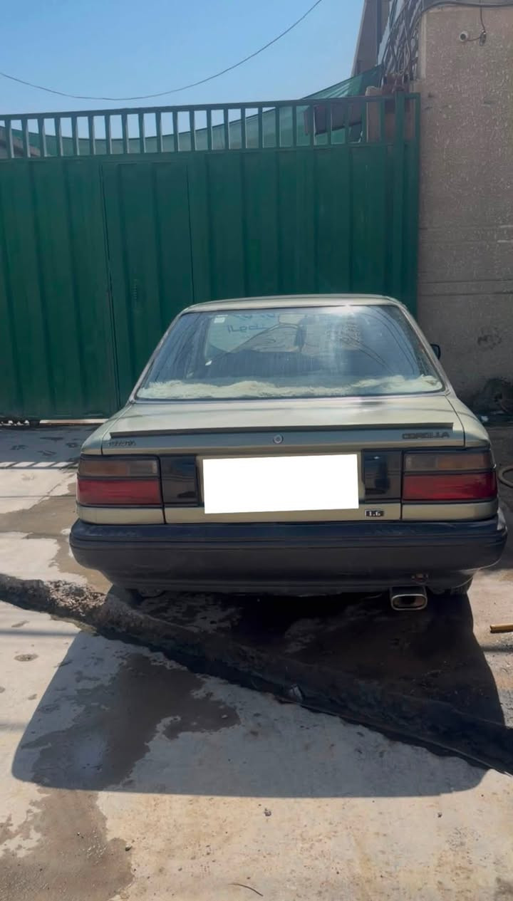 للبيع
السلام عليكم للبيع كورلا موديل  1990 رقم بغداد بأسمي لون زيتوني يسرى بلاد محرك 1600 السيارة مصبوغة عام أثر جراد بدون حادث كير ومكينة وحدادية كله جديد تبريد شغال والسيارة نشطة ما شاء الله الييارة ماشية 300 الف مكان السيارة بغداد

السعر 55 وبيها مجال

للأستفسار ***********
