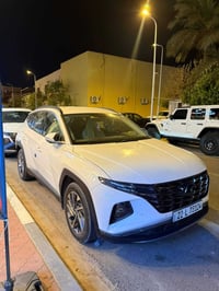 توسان • ٢٠٢٣ • رقم اربيل