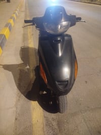 فراشه • فحل • نضيف