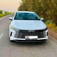 بي واي دي دسترويل • ٢٠٢٥ • ماشيه ٣٠٠٠