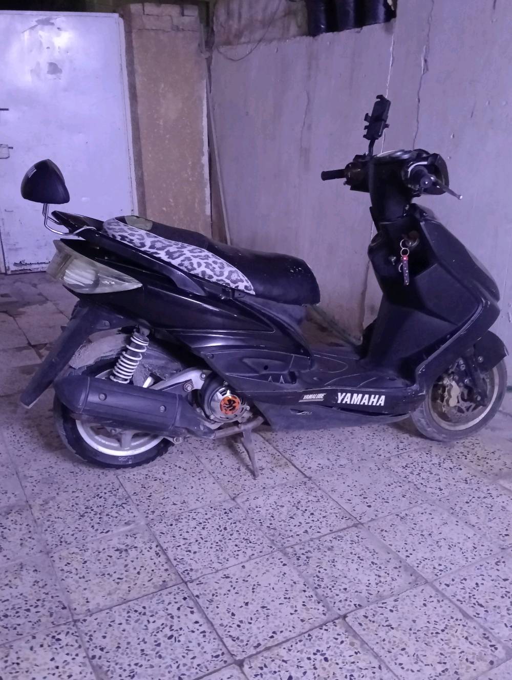 سكنس فحل • كابريتر • تسارع
