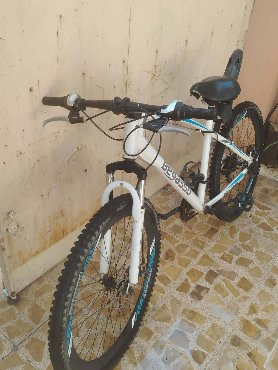 السلام عليكم بايسكل من شركة Begasso بايسكل حلو ومرتب ونضيف مثل ما موضح السعر 85 وبي مجال مو شراي لا تراسل والاتصال عل رقم ***********
