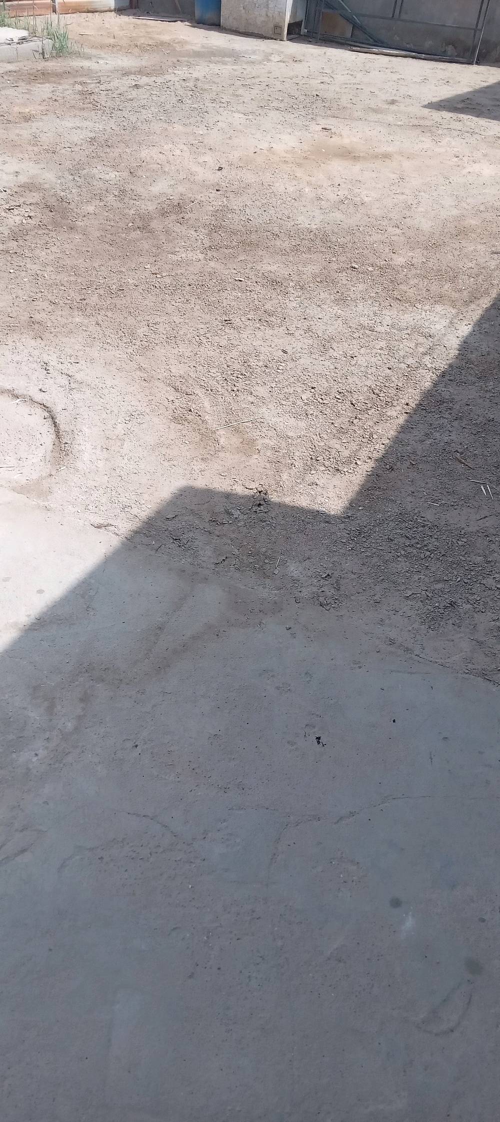 طابو صرف زراعي • ٢٠٠م • البصرة تنومه