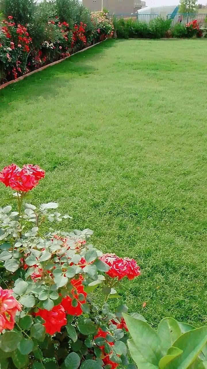 حديقجي في اربيل + تصميم وترتيب ديكورات 
زرع حدائق + أدامه شهريه+ زرع اشجار + تقليم الأشجار +قص ثيل 
تنظيف وترتيب الحدائق + قلب وتنظيف تربه ترتيب +
تبديل تربه + ترتيب سياج الحدائق 
ترتيب اطارات الحدائق بل حصو الملون الاستفسار 

واتساب ***********

