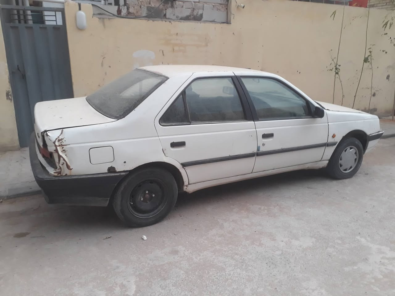 بيجو روا • ٢٠٠٩ • رقم كربلاء