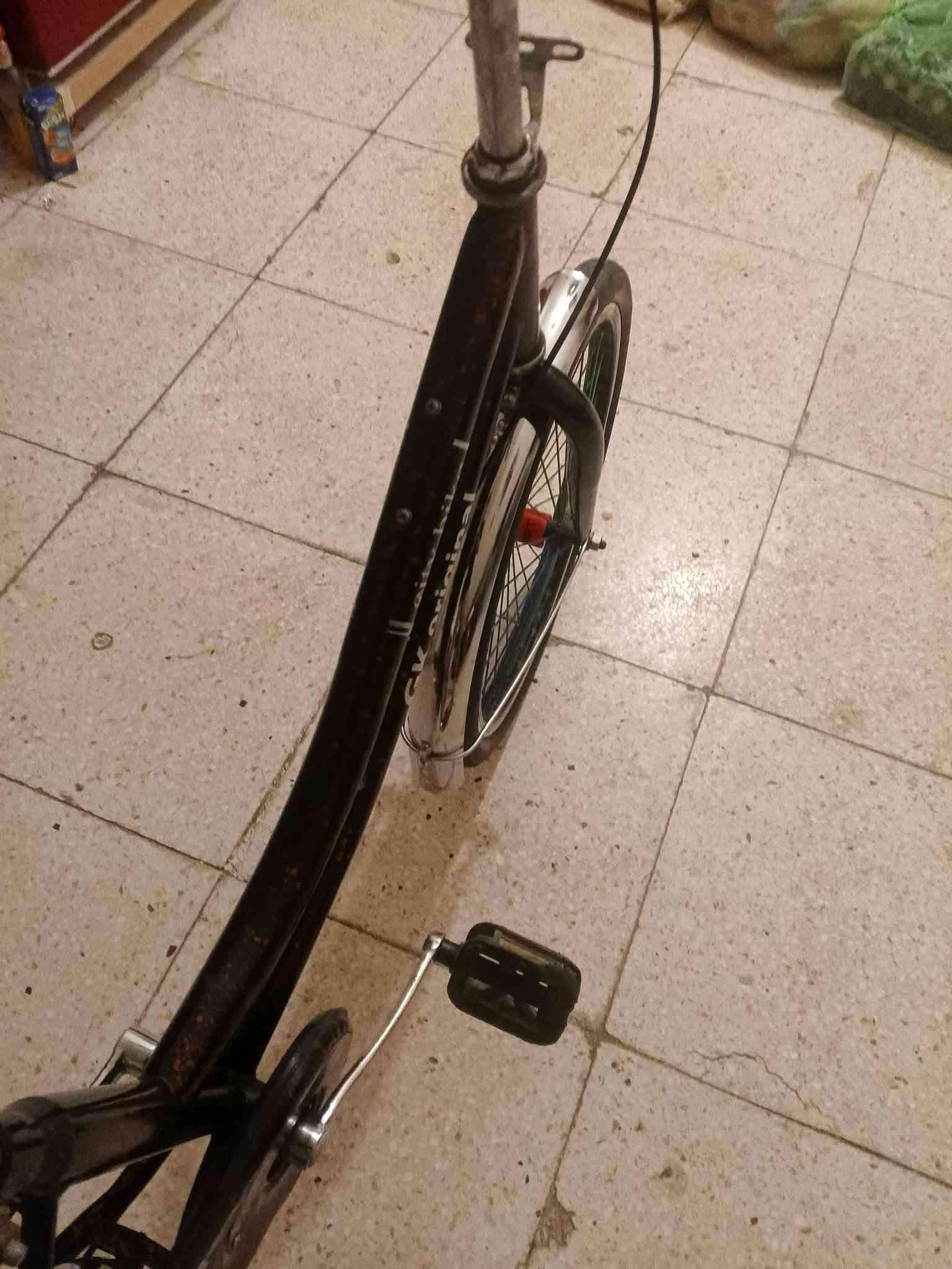 بايسكل • حجم ٢٠ • كربلاء حي الحر