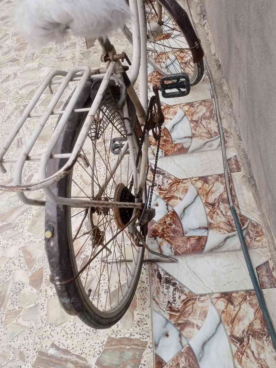 باسكل • بريك خلفي ناقص • البصرة ربع شوارع