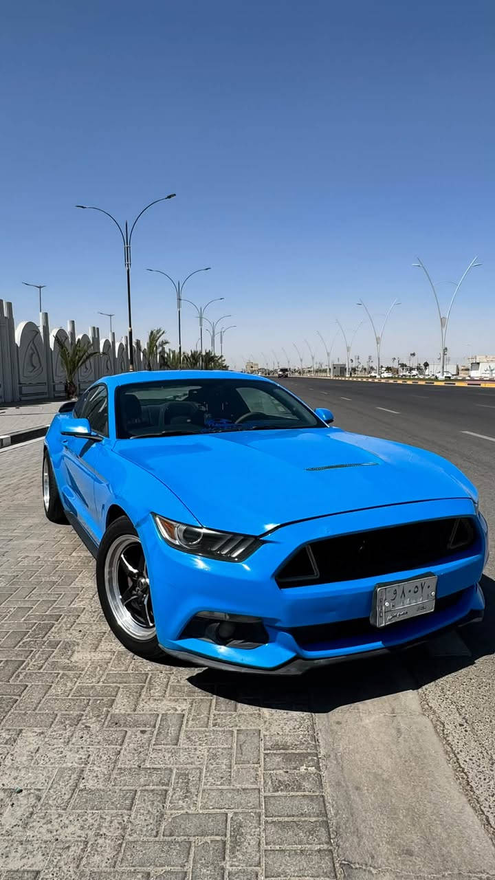 موستنك 6 سلندر
موديل 2017 
لون مميز 💙
ويل ويلد

محرك گير كهربائيات كفالة 
لغود شواصي كفالة 

بيه 4 قطع سطحيات بدون دواخل 

تبديل بنيد بحادث امريكا و تصليح باب و جاملغ بالعراق 
مثل ما موضح بالسونار 

السونار بتاريخ 2026/6/16

حادث امريكا و حادث العراق و رقم الشاصي موجودات بالصور 

الحادثين سطحيات 

ايرباك استيرن فقط 

ماشية 64 الف ميل 

السيارة رقم بغداد بأسمي 

مكان السيارة البصرة 

لتواصل ***********

السعر 138

نص مكتوب في الصور:
- حادث العراق