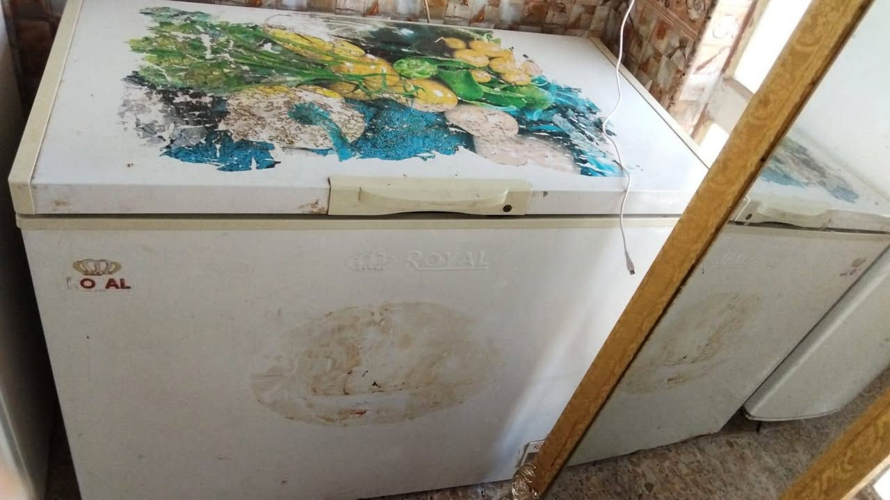 سلام عليكم عندي هذني ثلاجه ومجمده شغالات فول وكنتور ابو البابين للبيع والله مستعجل كلش على بيعتهن رايدهن 250 وبيهن مجال المكان حي ميسان للستفسار أكثر أتصل عل رقم وهم بيه واتساب ‏‪***********‬‏ خاص ماكو فقط واتساب وتصال عل خط النجف, العراق
