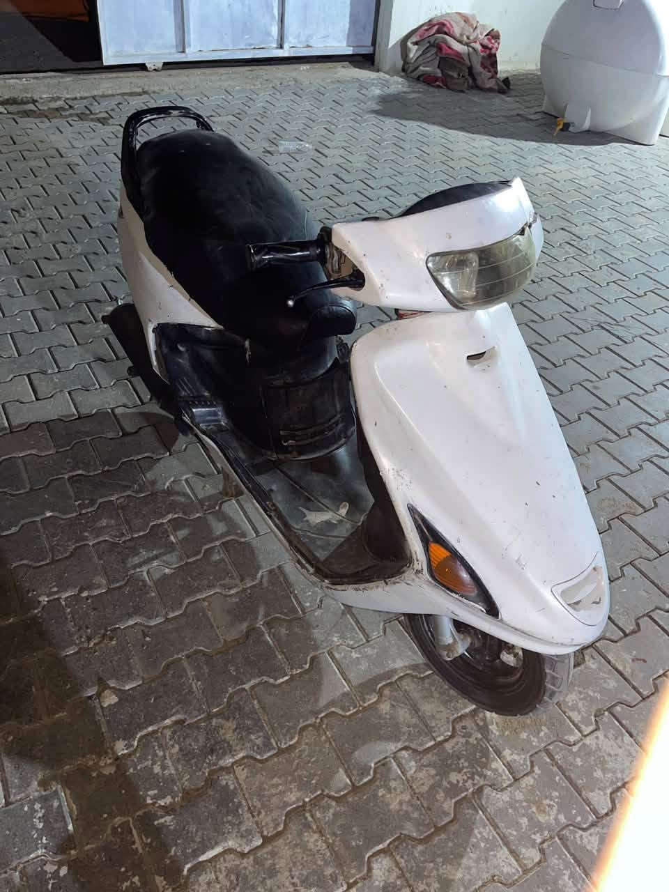 فراشه • نضيفه • بصره