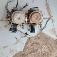كابريتر فراشة • ديوانية