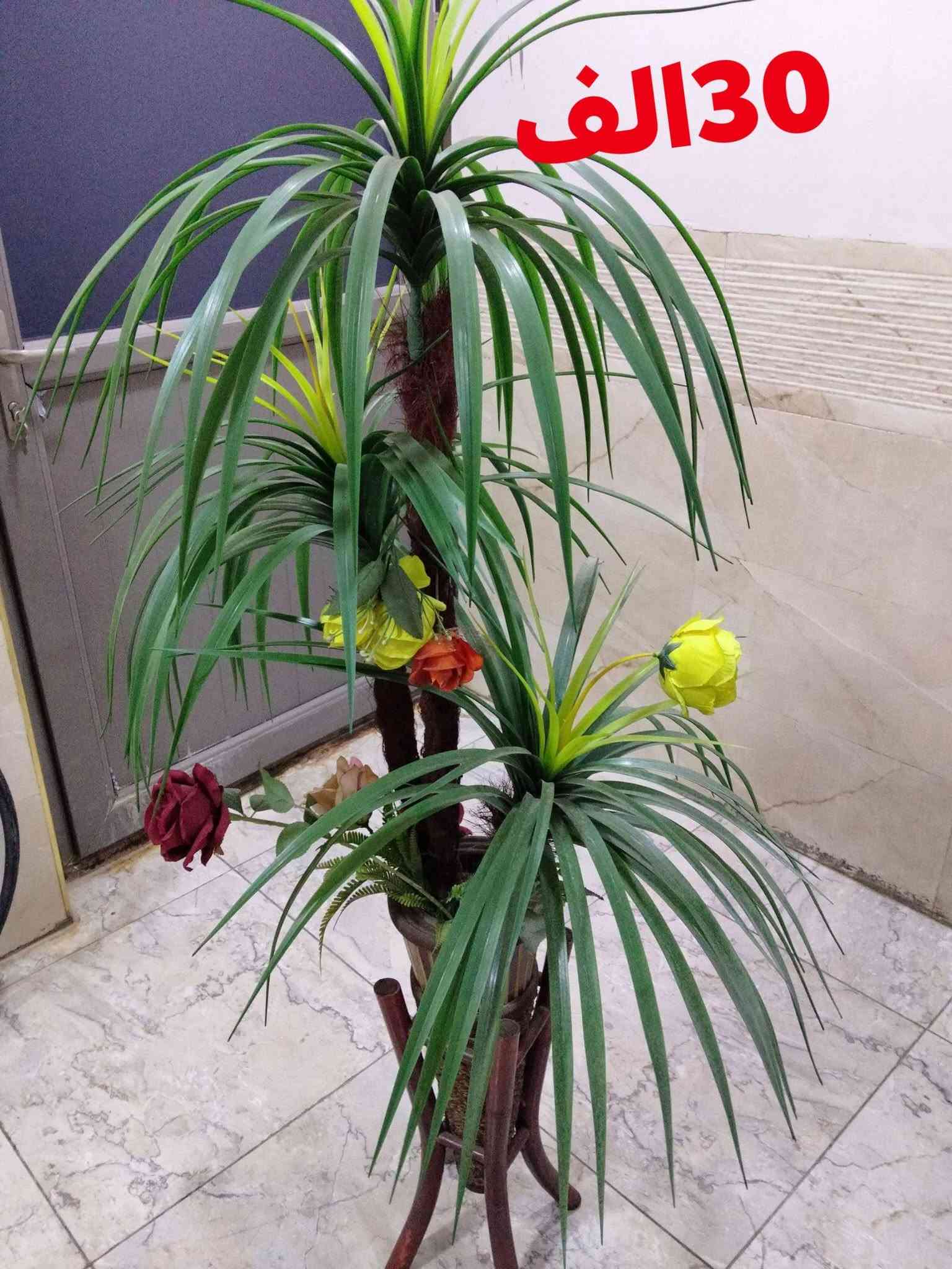 عروض • اسعار مختلفة • اجهزة متنوعة