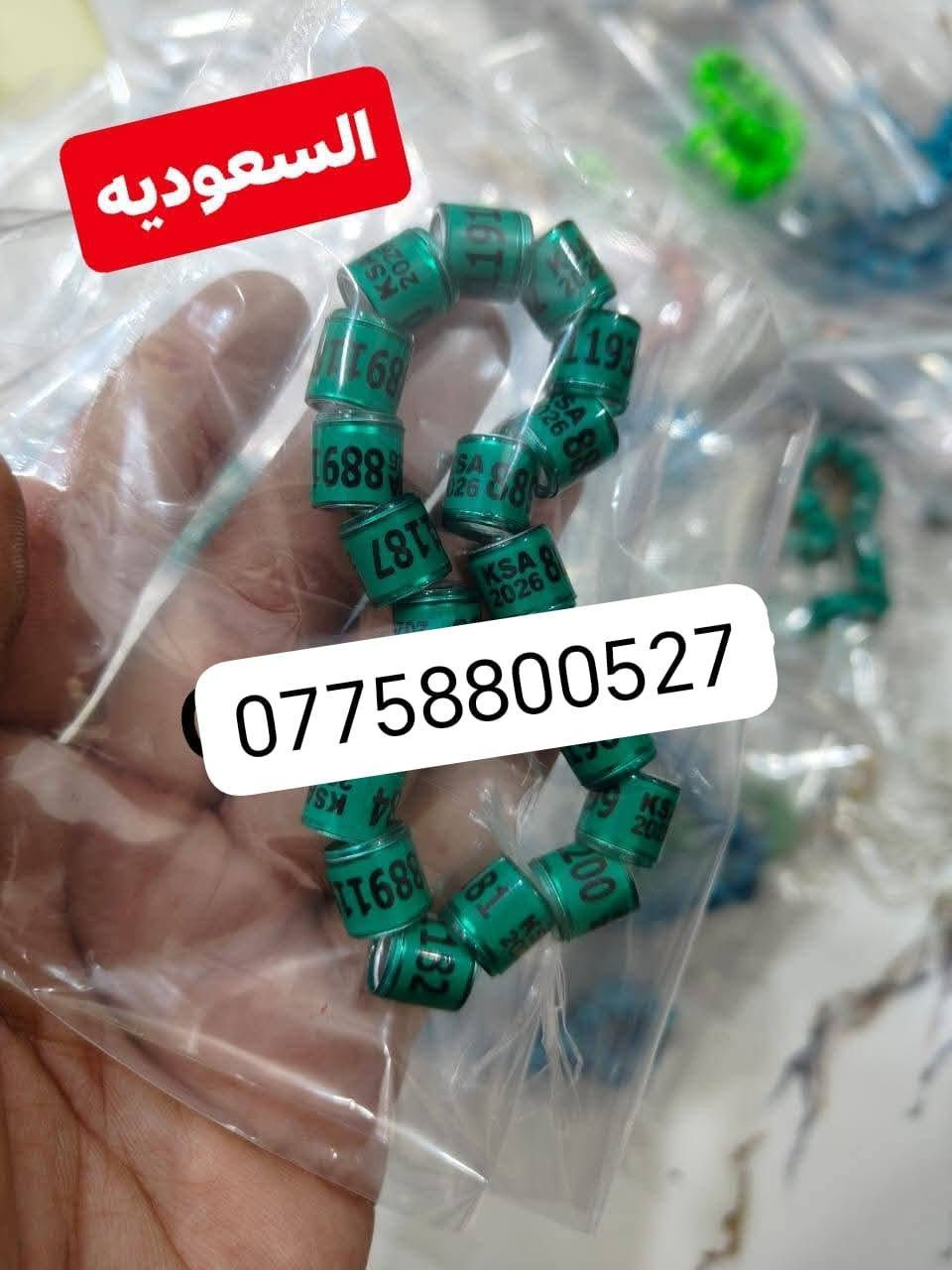 حجول طيور • توصيل العراق • شغل مضمون