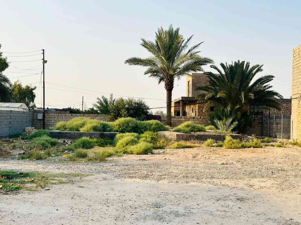 الرمادي زنكورة • ١٠٠٠م • جاهزة للبناء