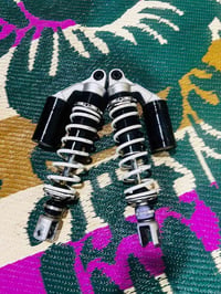 سكنس • دبلات • مكفولات