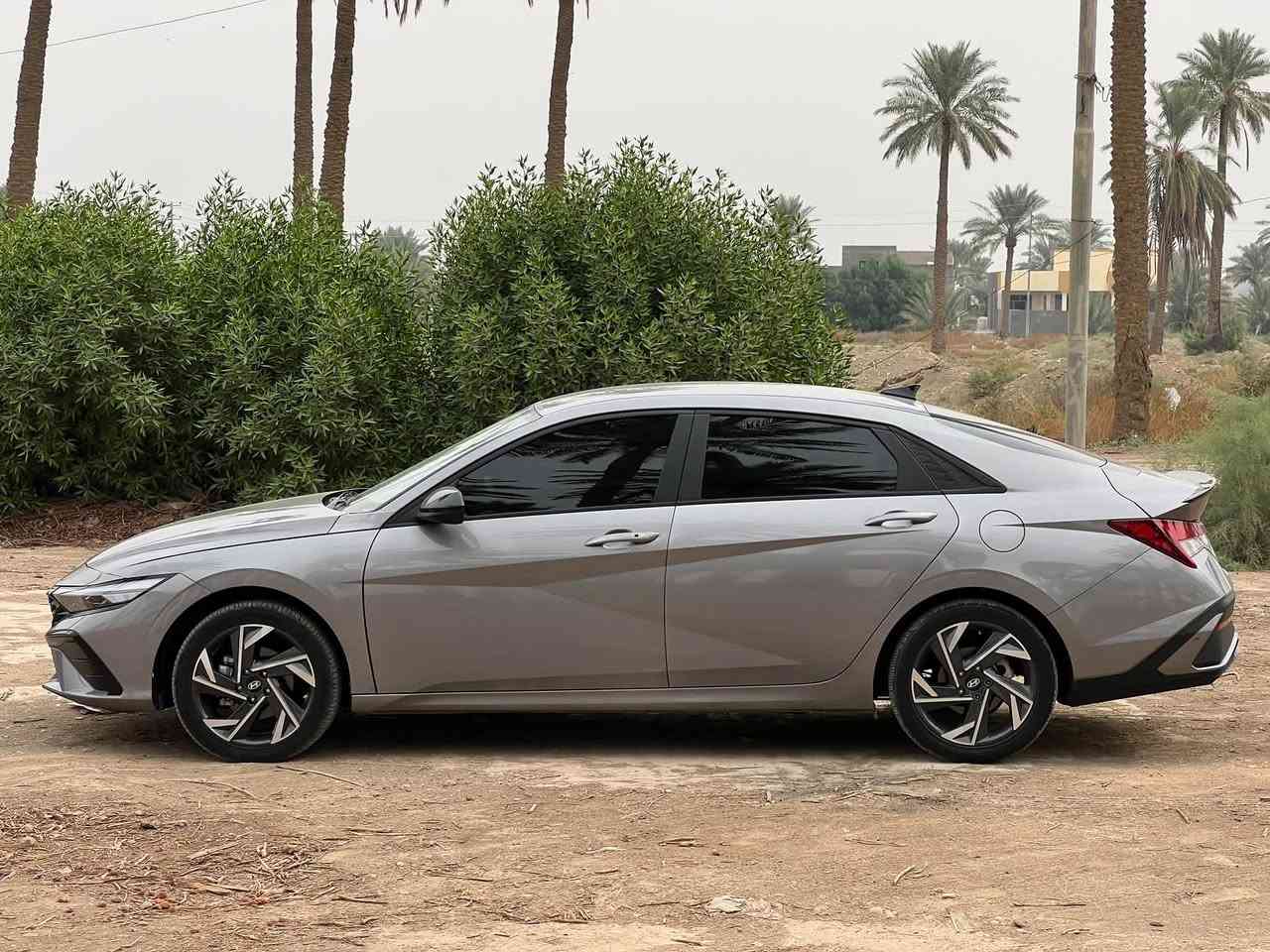 النترا SEL • ٢٠٢٥ • وارد امريكي