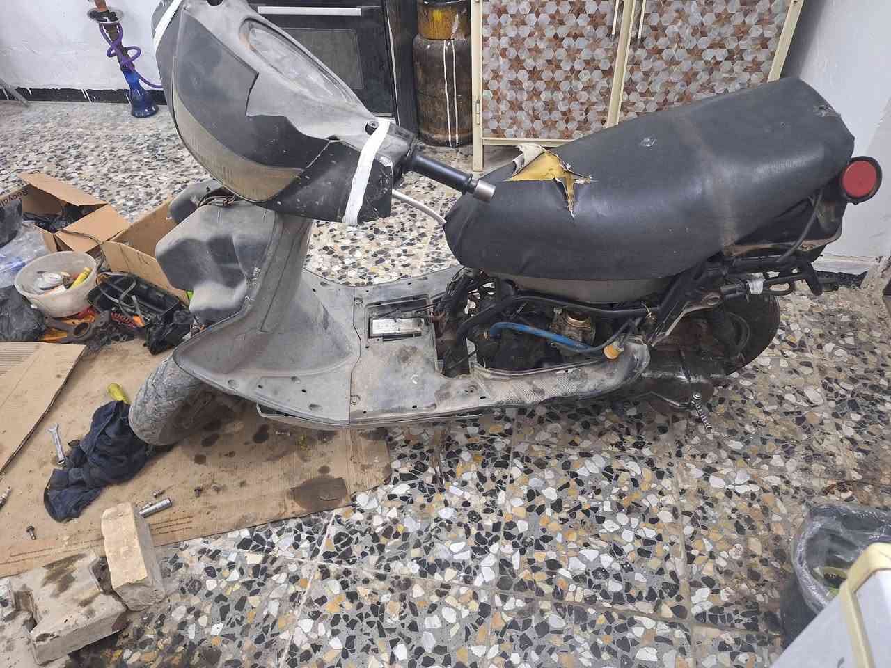 فراشه • امبدل • جبنه