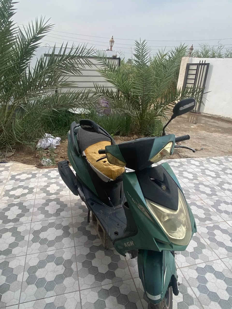 سكنس • كابريتر • نص ديرة