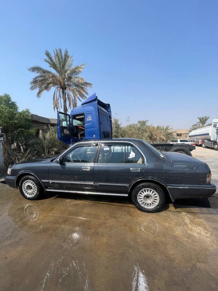 ارنب طويل • مكينه وكير • البصرة