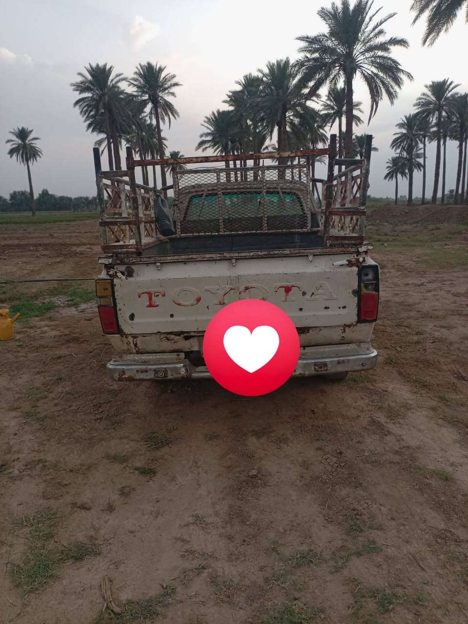 بيكم • ١٩٨٠ • رقم الانبار
