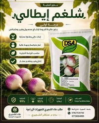 🌱 متوفر الآن لدى مكتب علاء الشجيري للتجهيزات الزراعية 🌱  🇮🇹 بذور شلغم ...