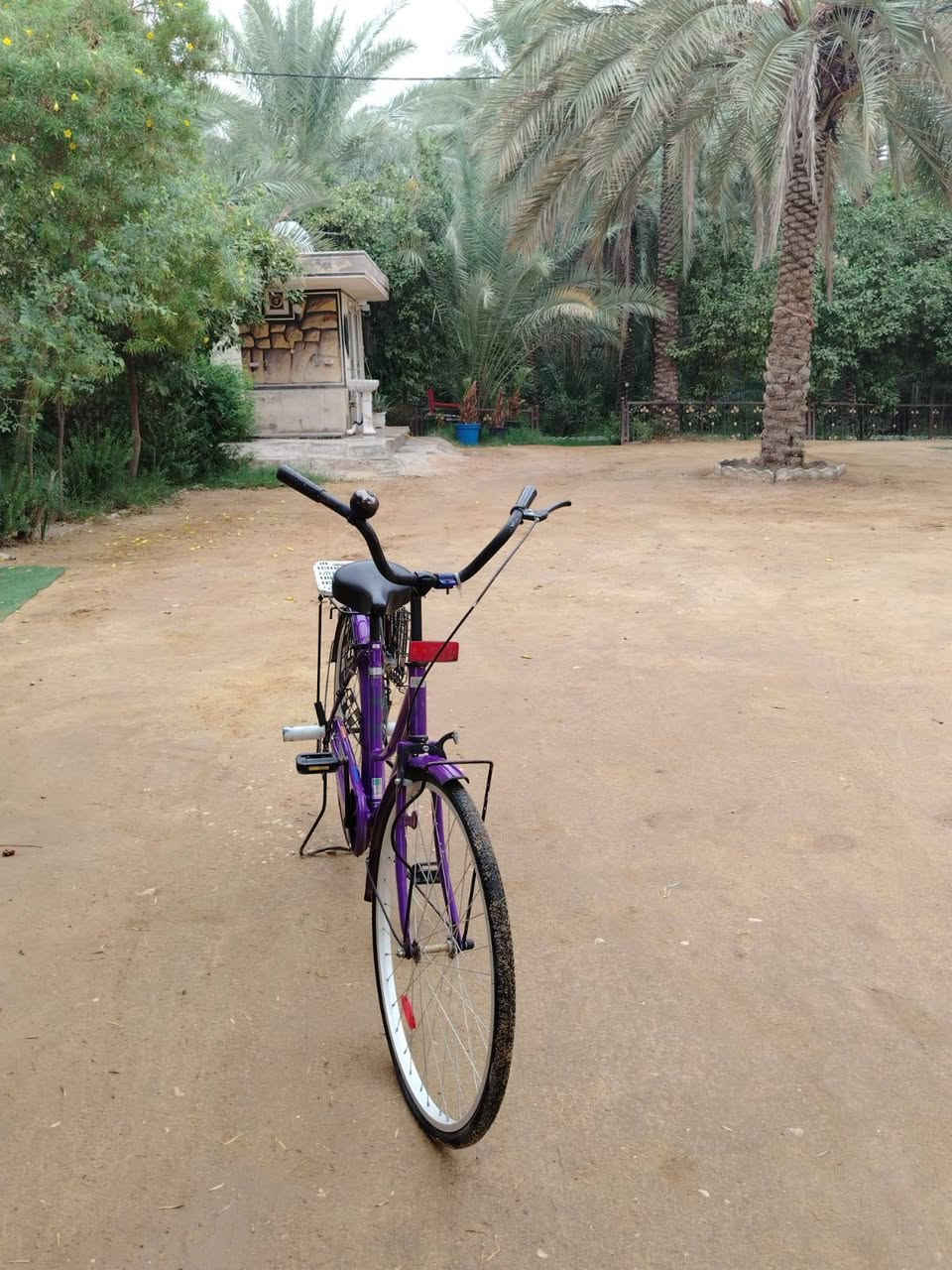 بايسكل • حجم ٢٦ • بنفسجي