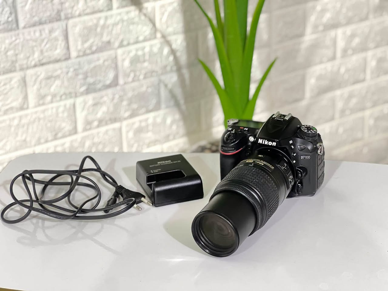 كاميرا Nikon D7100 • عدسة 55-300 VR • شاتر ١١٧٩١٢