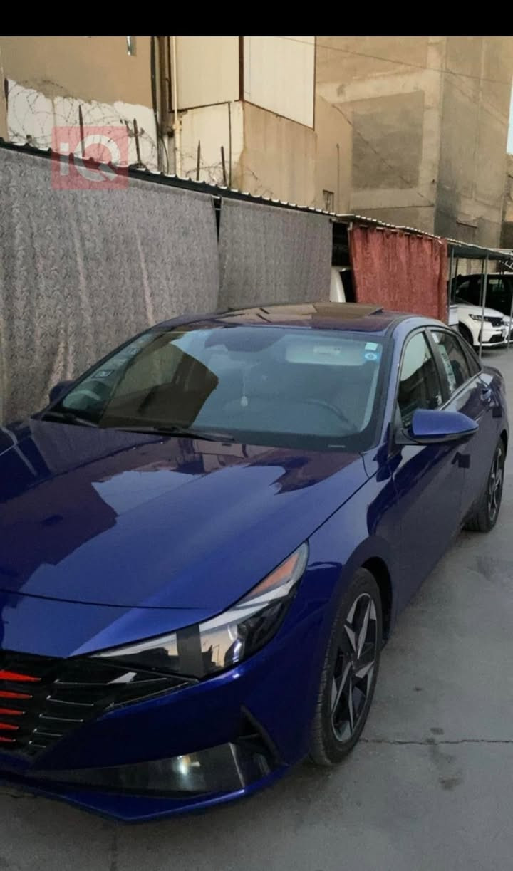 إلنترا هايبرد • ٢٠٢٣ • سالفج