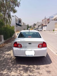 ماليبو • وارد امريكي • ٨٥ ورقة