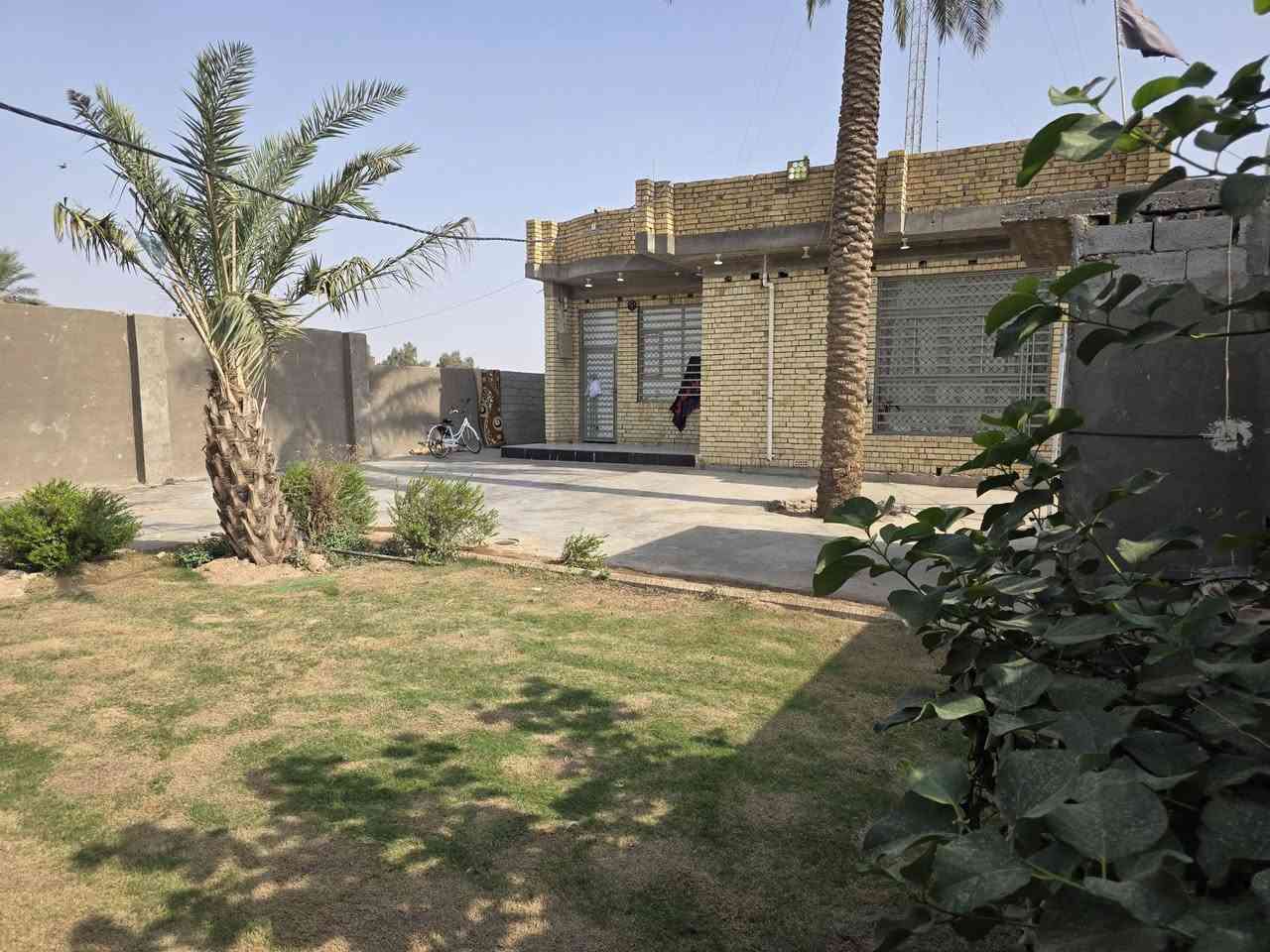 كوت الحكيم ٢ • دونم • بيت عالشط
