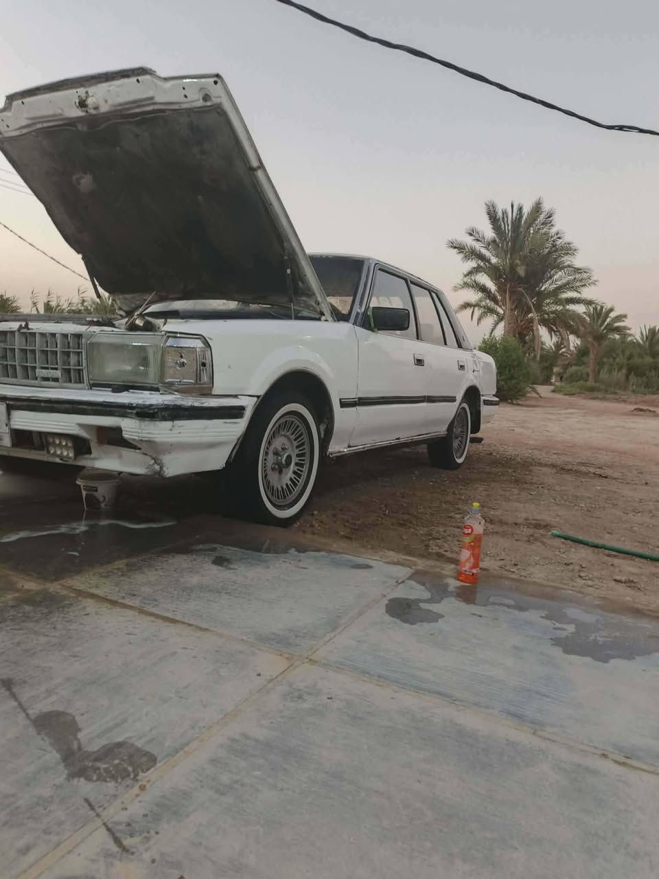 يا الله السلام عليكم سياره سوبر ٨٥ سياره مكفولة كفالة عامه من النقل جذه والصوليات والضربة القويه دواخل جديده محرك وكير وعقل خير من الله محرك بطه اثنين ونص سياره حلوه مراوس ب تيكو واليريد يشتري يتصل وبيك خير وتدلل للستفسار ***********
