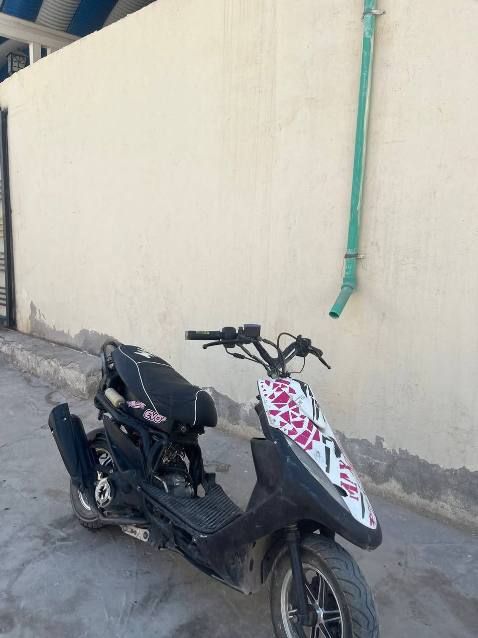 ماكس عدلة • كفالة • سلف وهاند