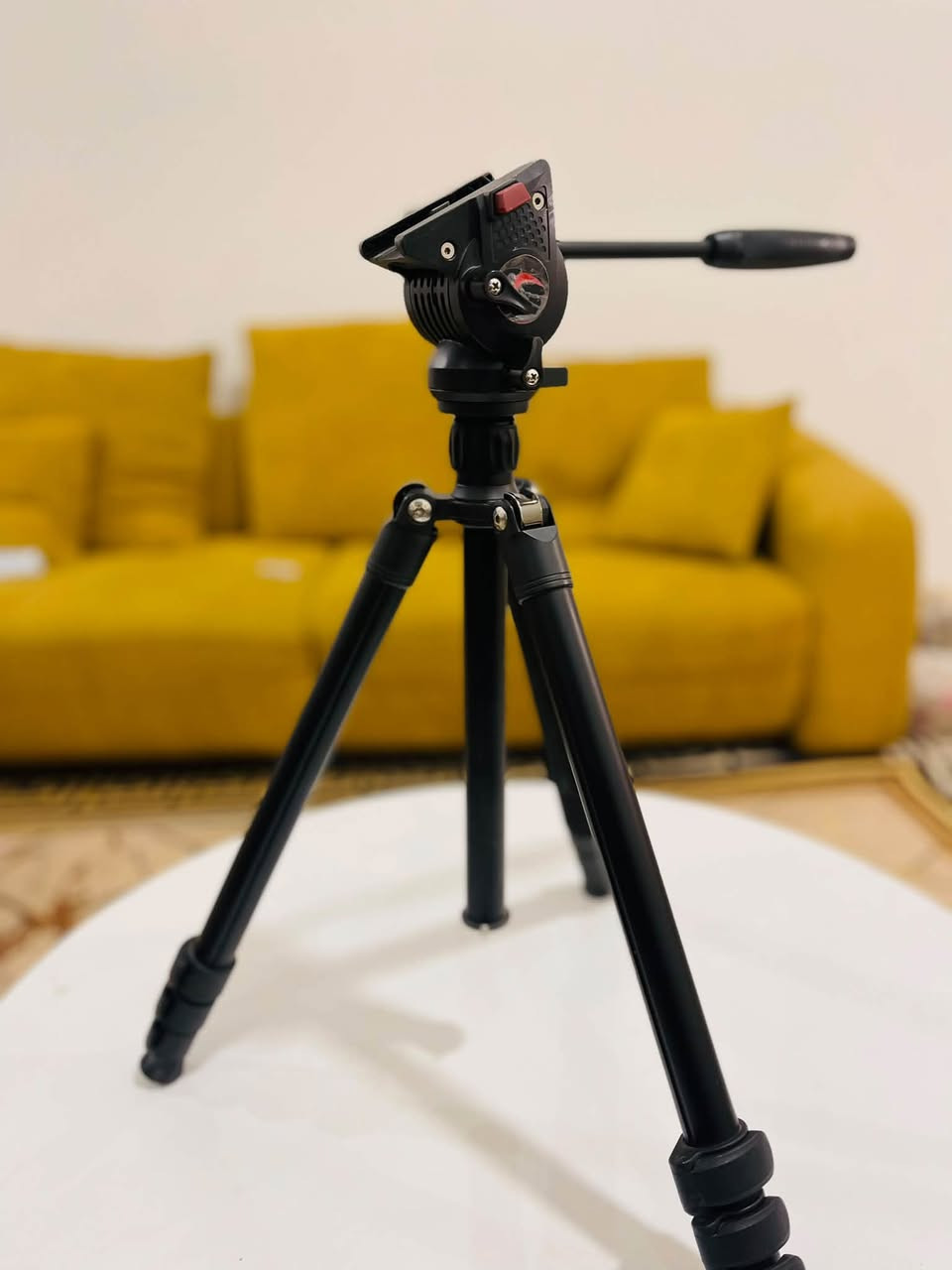 نيكون D7100 عدستها 18-140 الأصلية
عدسة صغيره 18-55  DX VR  NIKKOR
مايك جو عام احترافي جدا 
بيبي لايت مستمر اضاءة قوية 
فلاش GODOX باتري 
مايك 
كفر جيلاتين اصفر 
امبرله شحن من VISICCO2 فلاش و اضاءة مستمرة
ترايبود ثلاثي هايدروليك 

***********
