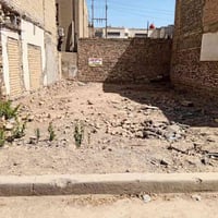 أرض • ٦٣م • الامين الثانية النواب