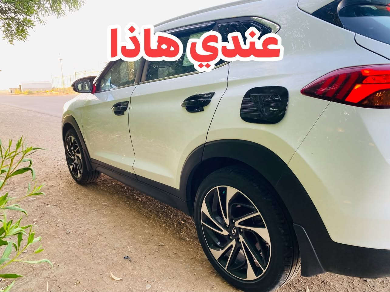 سلام عليكم عندي خمسه ويل كب اريد مراوس نفس الي بل صوره الي عنده اني اجي للبيت والفتح وشد عليه منو يراوسني ***********
