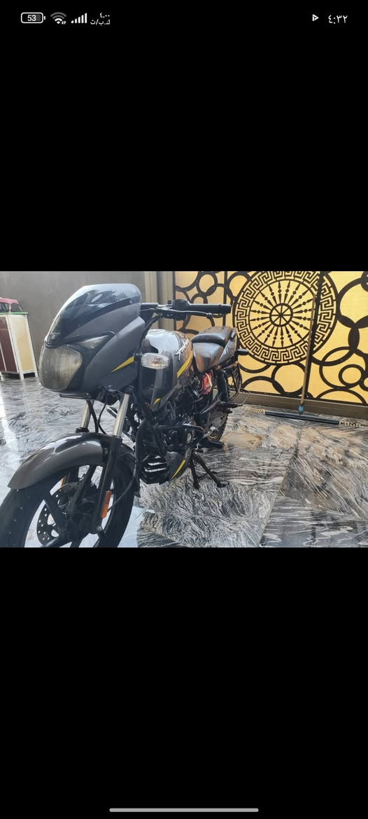 بولسر • ١٥٠ • مرقم