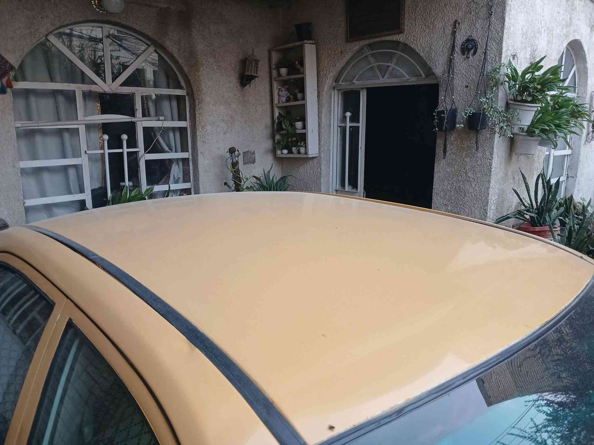 فيرنا • ٢٠١٤ • بلادية